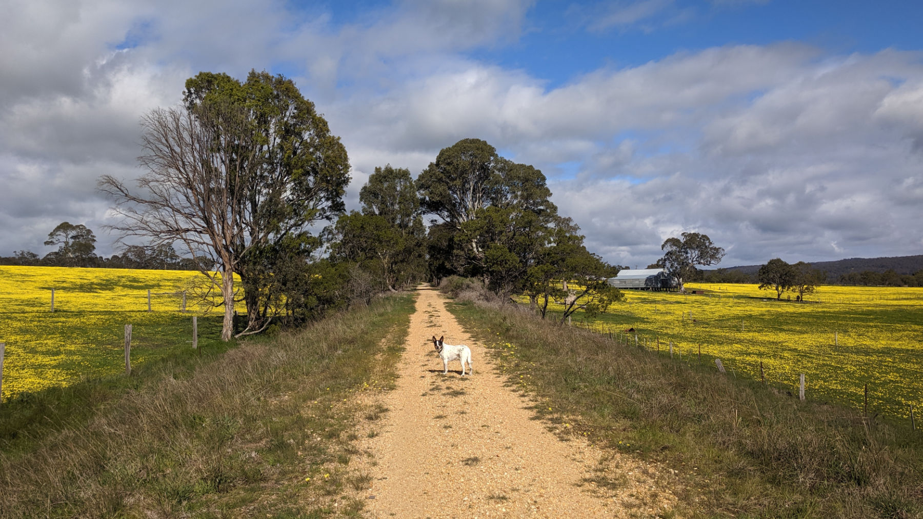 Wilson on the trail